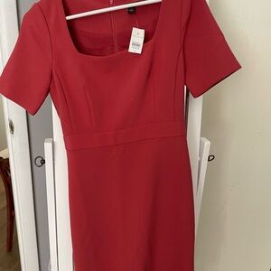 Ann Taylor work dress size 00 new with tags